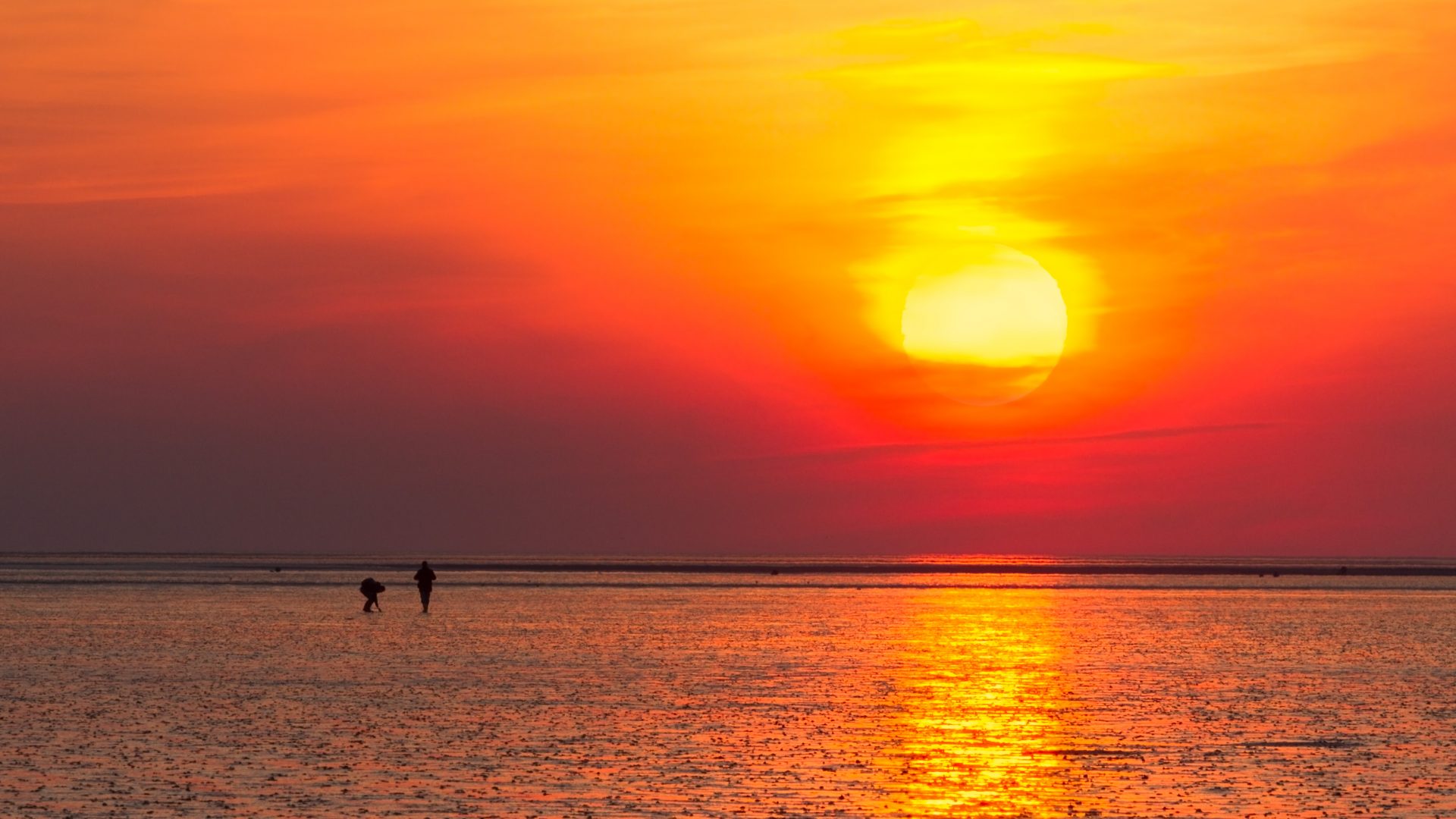 Permalink to: maritim