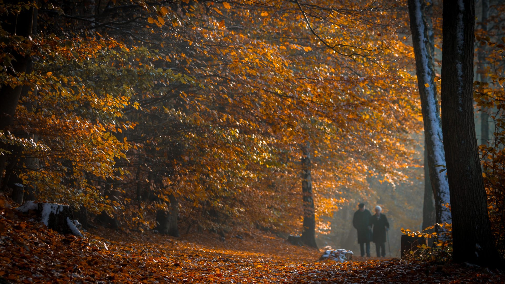 Permalink to: Naturfotografie